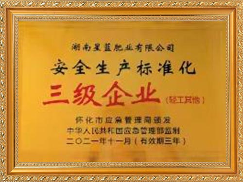 2021年11月安全生產(chǎn)標(biāo)準(zhǔn)化三級(jí)企業(yè)(輕工其他)
